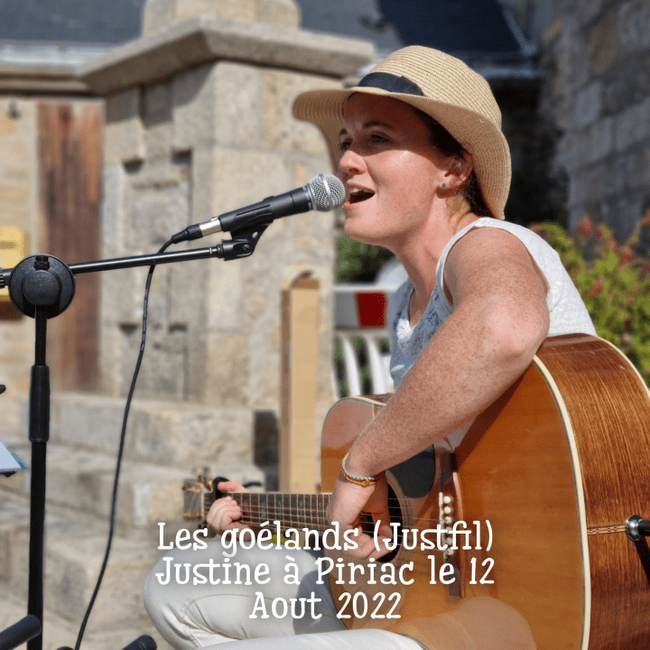 Les goélands (Justfil) par Justine à Piriac Aout 2022
